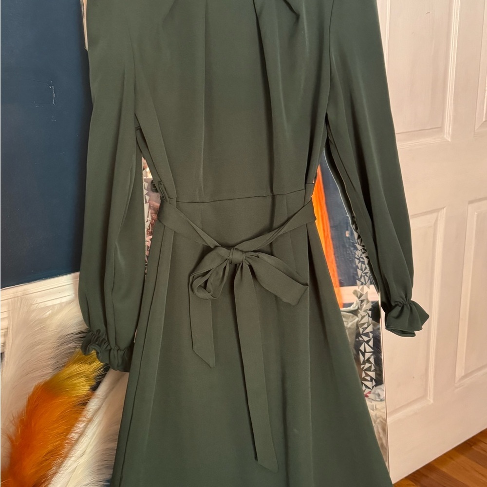 Frenchy Flounce Sleeve Belted Dress 👗 - Picture 4 of 5